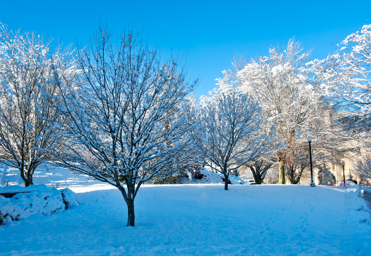 Winter in Virginia's New River Valley Virginia's New River Valley