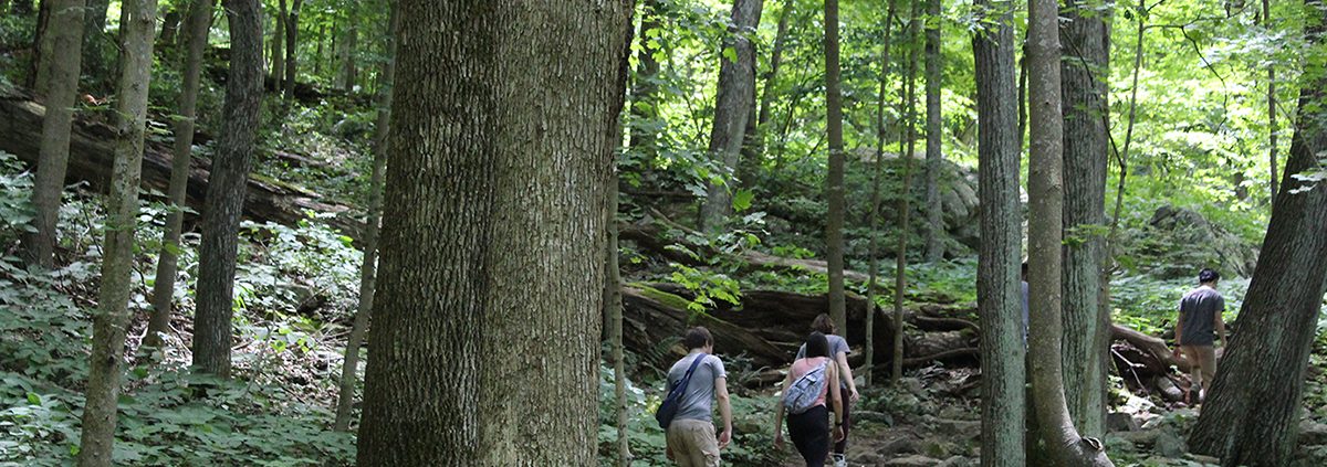 Lesser Known NRV Hiking Trails Featured in The Roanoke Times