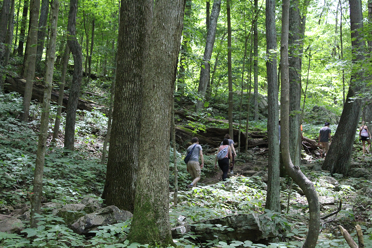 Outdoors in the NRV Hiking